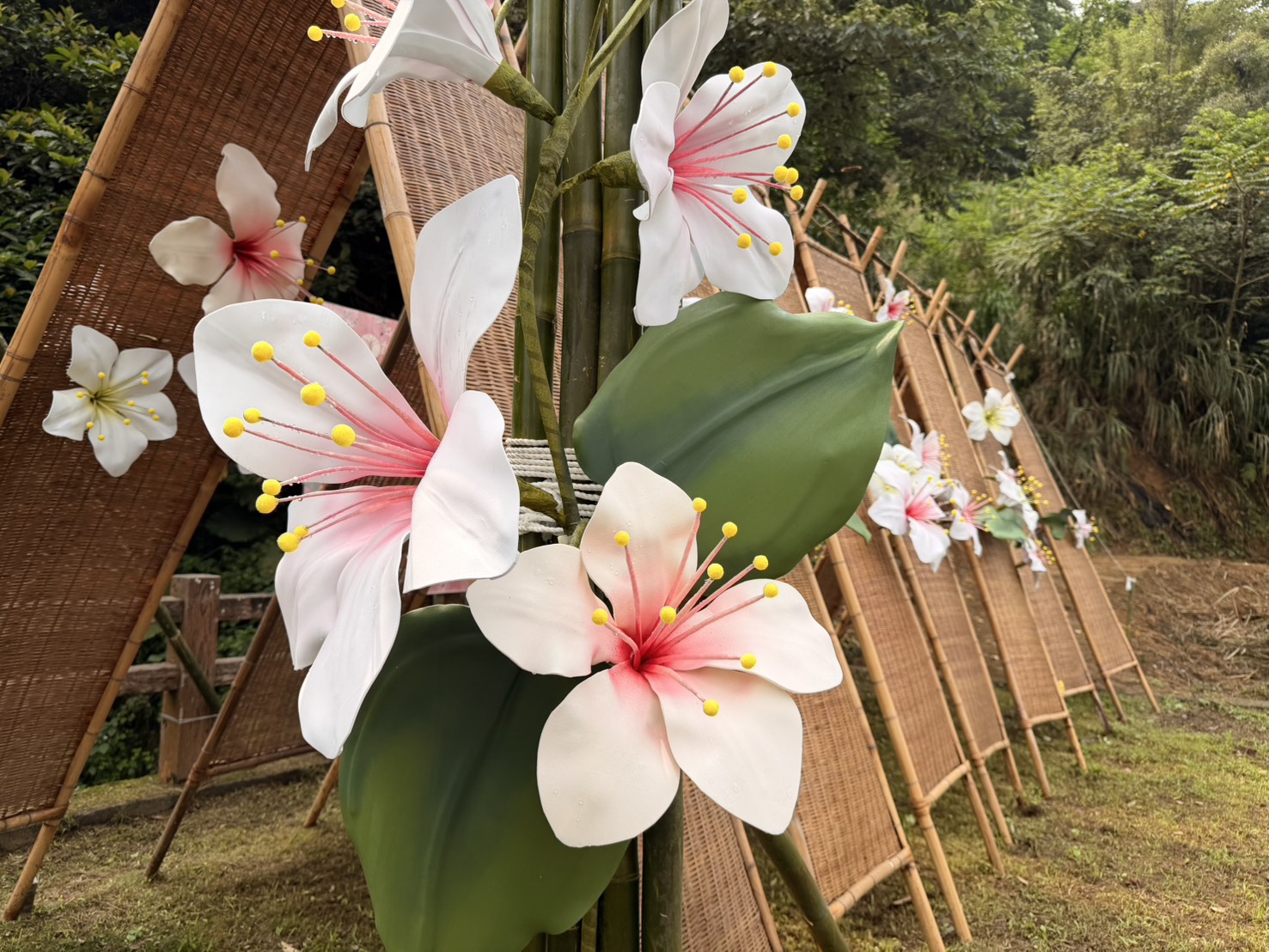 2026桐花祭活動